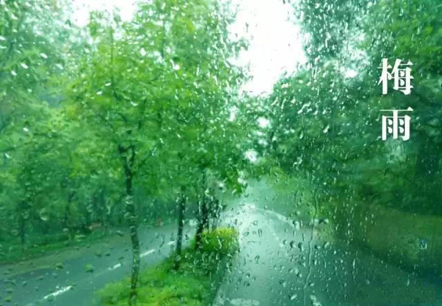 梅雨季節(jié)，如何解決配電箱回潮？給你支招